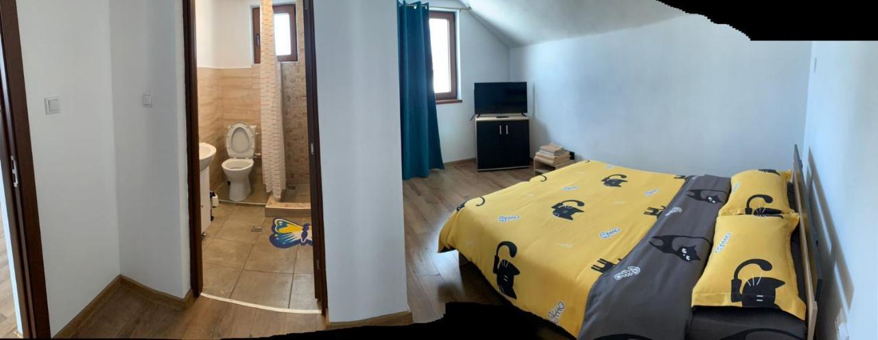 Casa Loredana Cîrţişoara Exterior foto