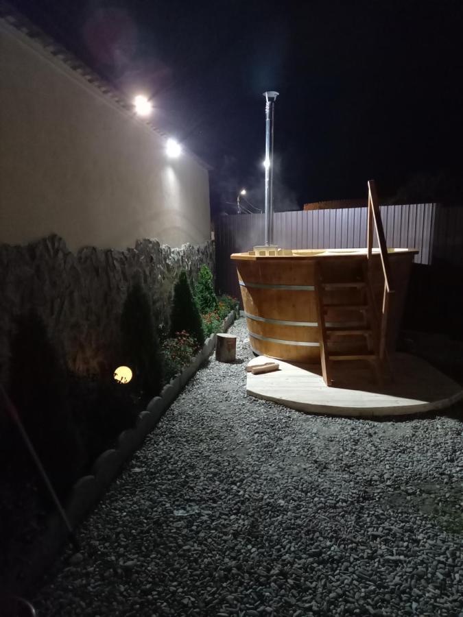 Casa Loredana Cîrţişoara Exterior foto